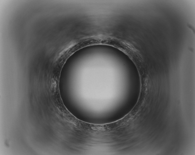 X0000099541302200805231117