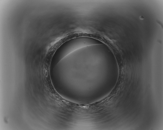 X0000099541303200805231117