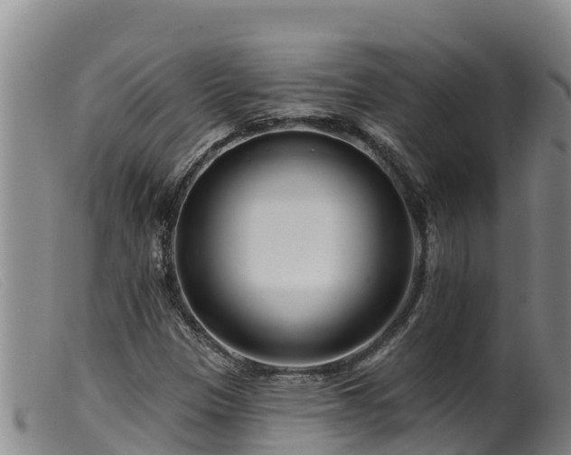 X0000099541305200805231117