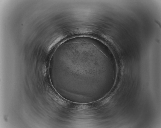 X0000099541306200805231117