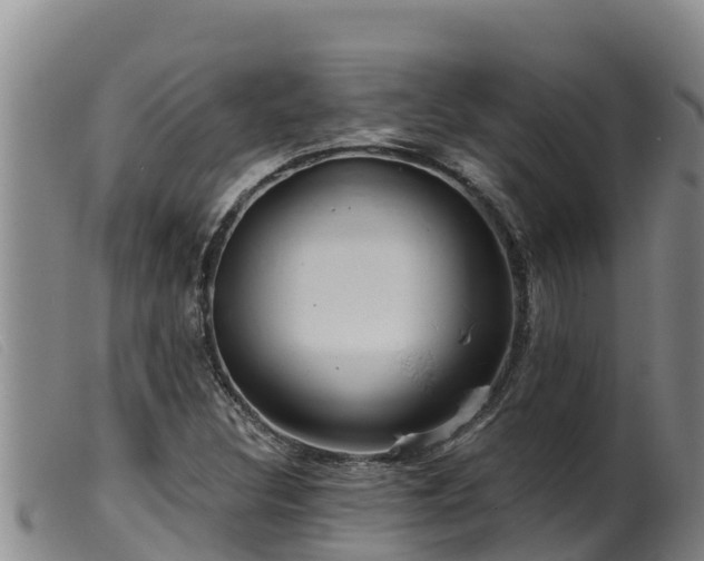 X0000099541308200805231117