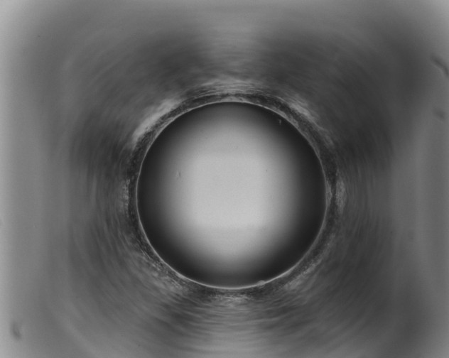 X0000099541309200805231117