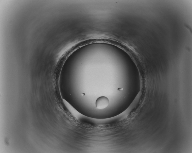 X0000099541311200805231117