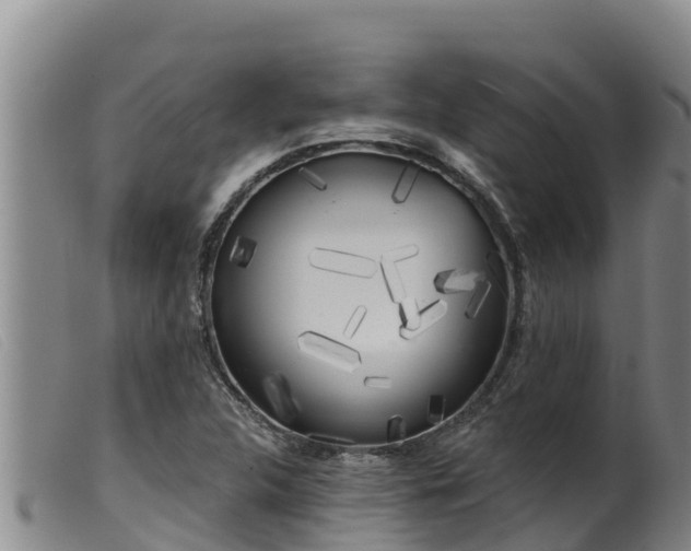 X0000099541312200805231117