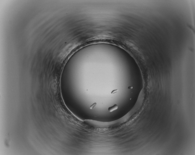 X0000099541313200805231117