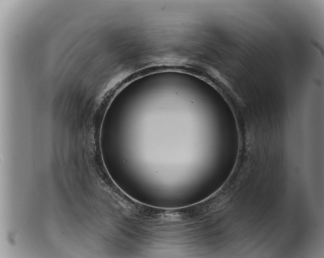 X0000099541315200805231117