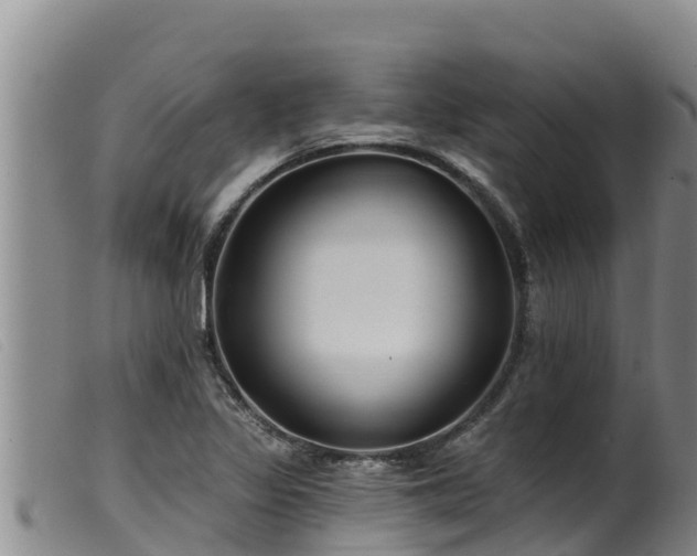 X0000099541317200805231117