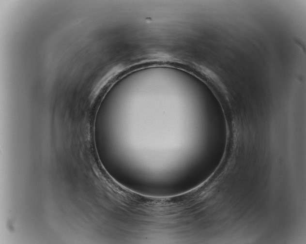 X0000099541318200805231117