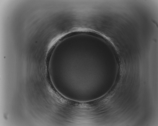 X0000099541319200805231117