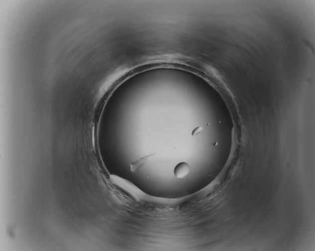 X0000099541320200805231117