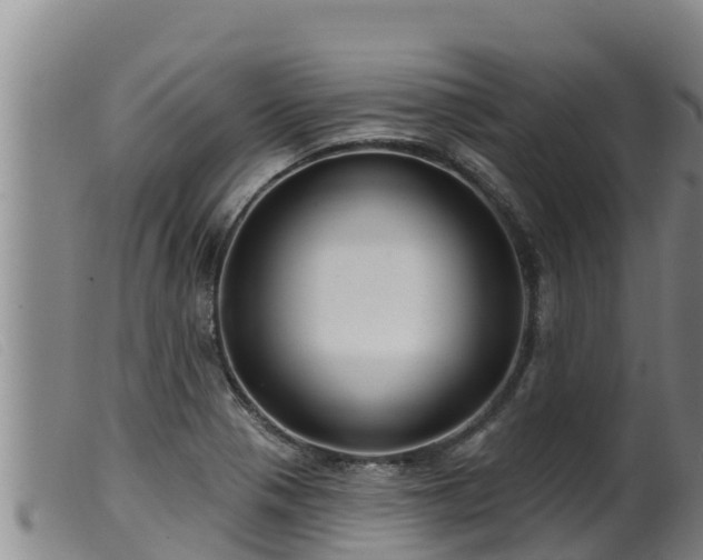 X0000099541321200805231117