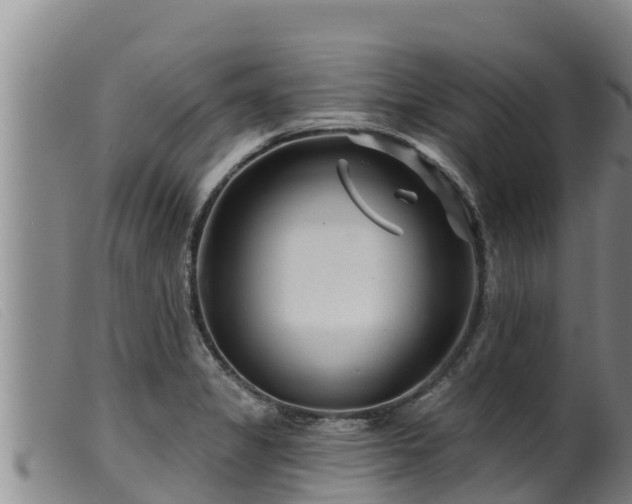 X0000099541325200805231117