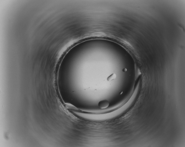 X0000099541326200805231117