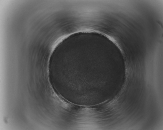 X0000099541327200805231117