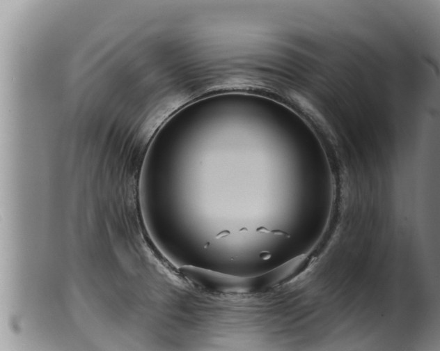 X0000099541329200805231117