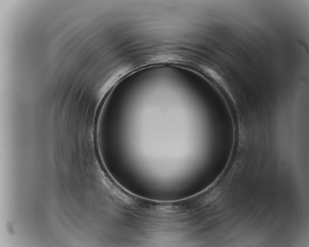 X0000099541330200805231117