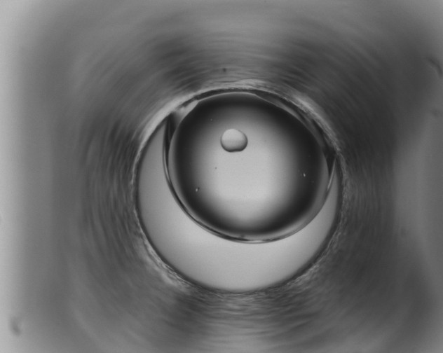 X0000099541332200805231117