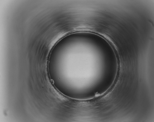 X0000099541333200805231117