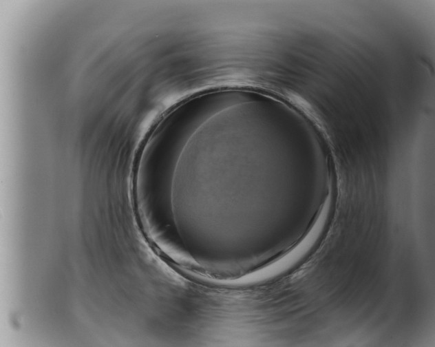 X0000099541334200805231117