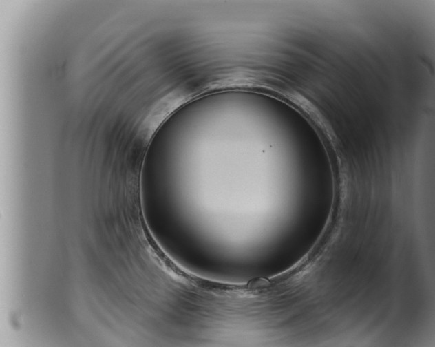 X0000099541337200805231117