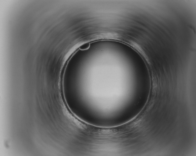 X0000099541339200805231117