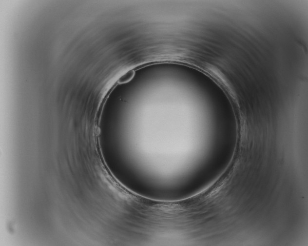 X0000099541340200805231117