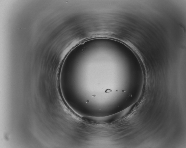 X0000099541341200805231117