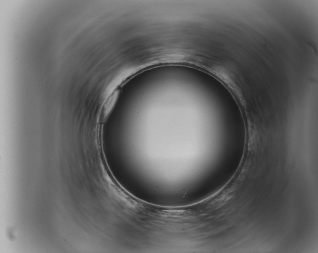 X0000099541342200805231117