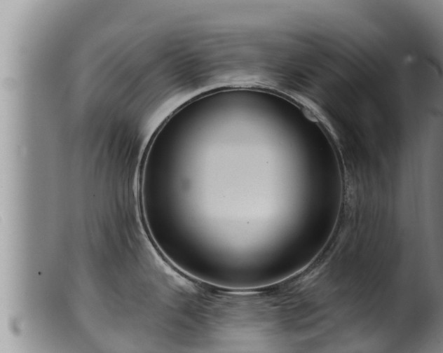 X0000099541343200805231117