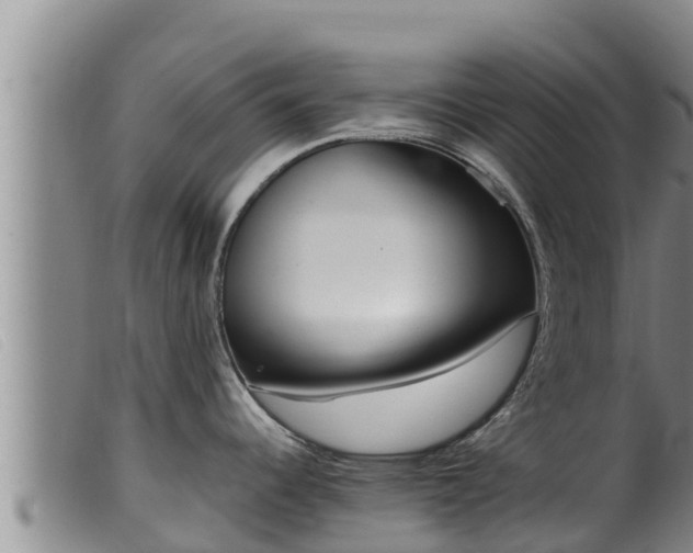 X0000099541344200805231117