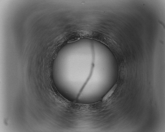 X0000099541345200805231117