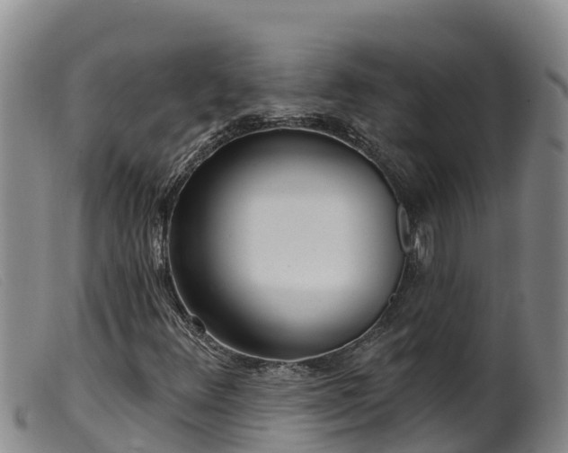 X0000099541348200805231116