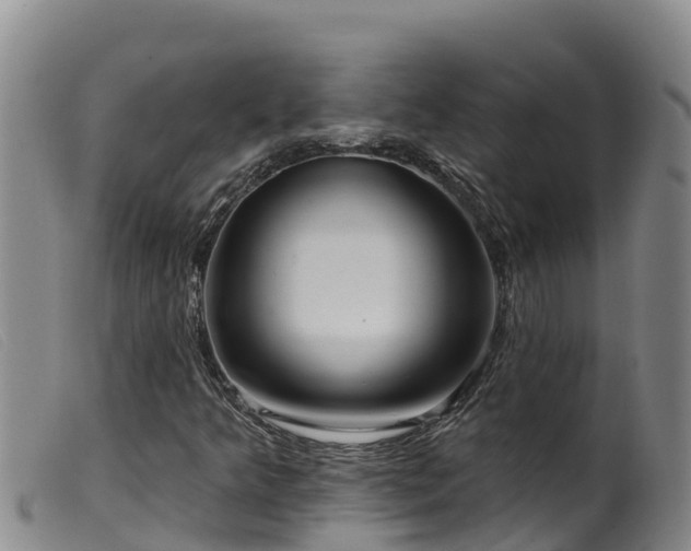 X0000099541349200805231116