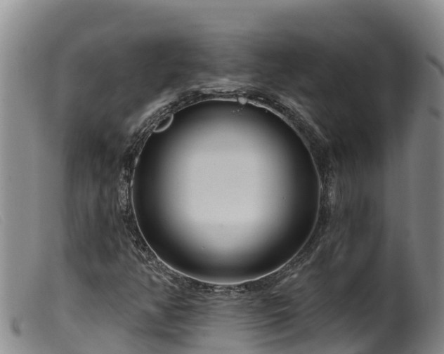 X0000099541350200805231116