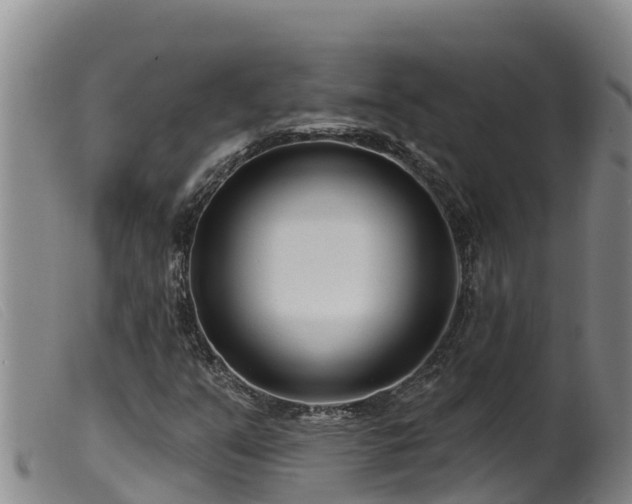 X0000099541351200805231116