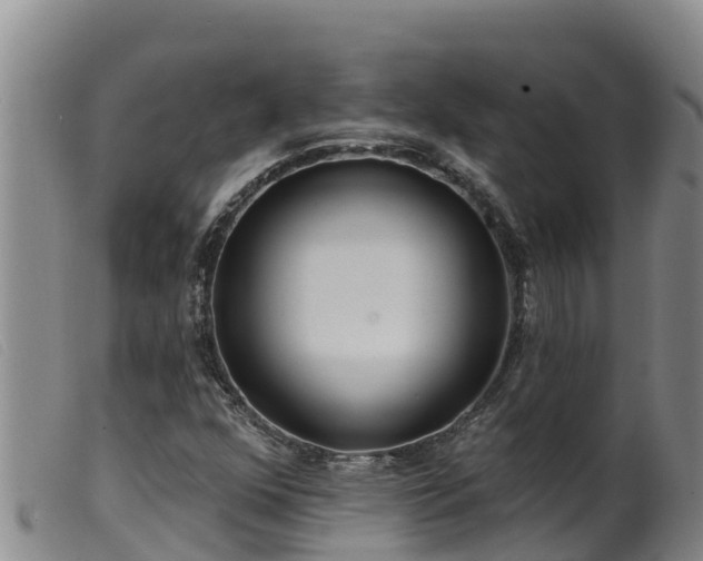 X0000099541352200805231116