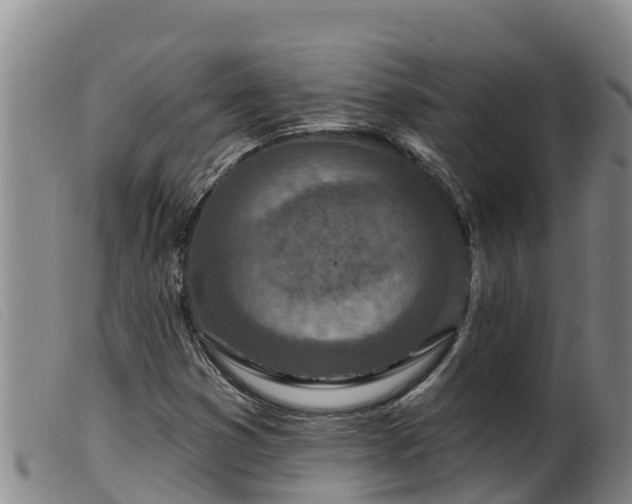 X0000099541353200805231116