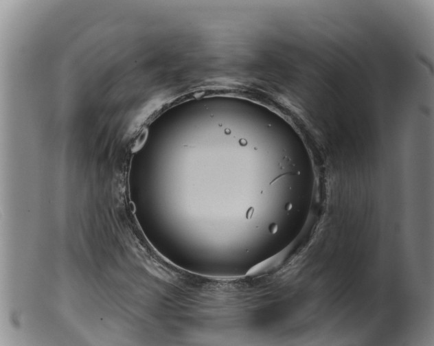 X0000099541355200805231116