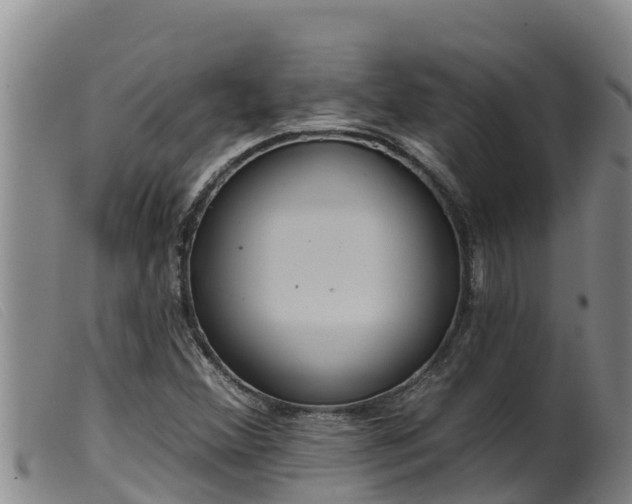 X0000099541356200805231116