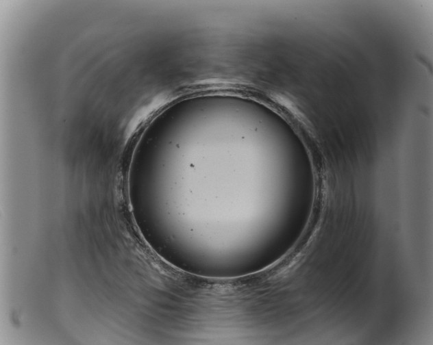 X0000099541357200805231116