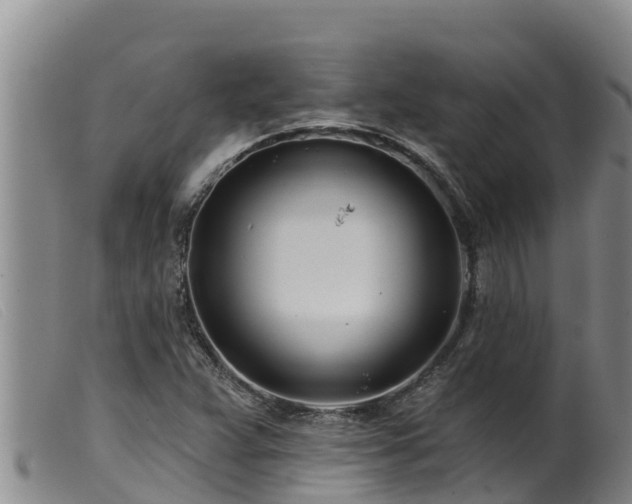 X0000099541359200805231116