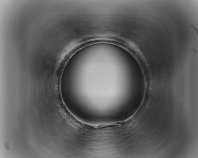 X0000099541360200805231116