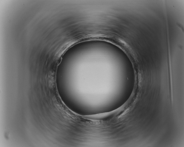 X0000099541361200805231116