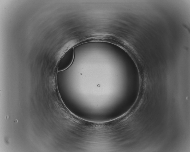 X0000099541362200805231116