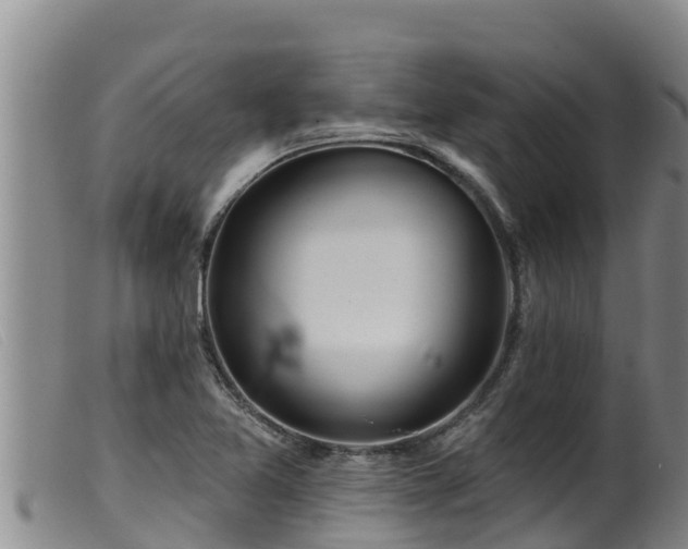 X0000099541365200805231116