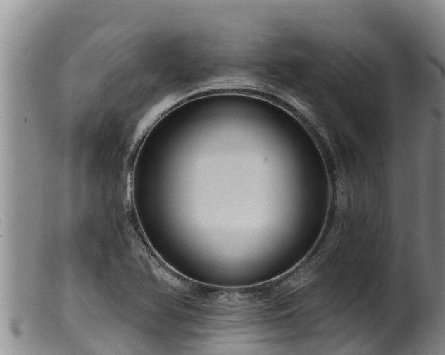 X0000099541366200805231116