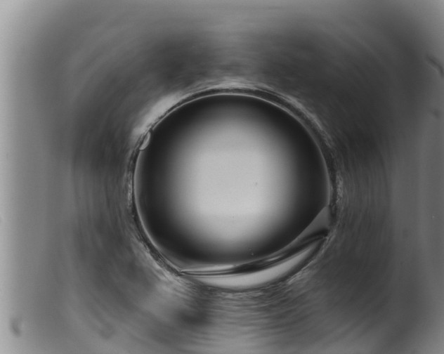 X0000099541367200805231116