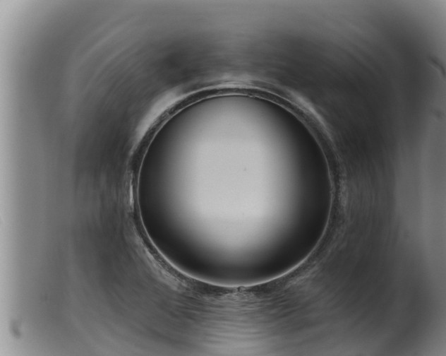 X0000099541368200805231116