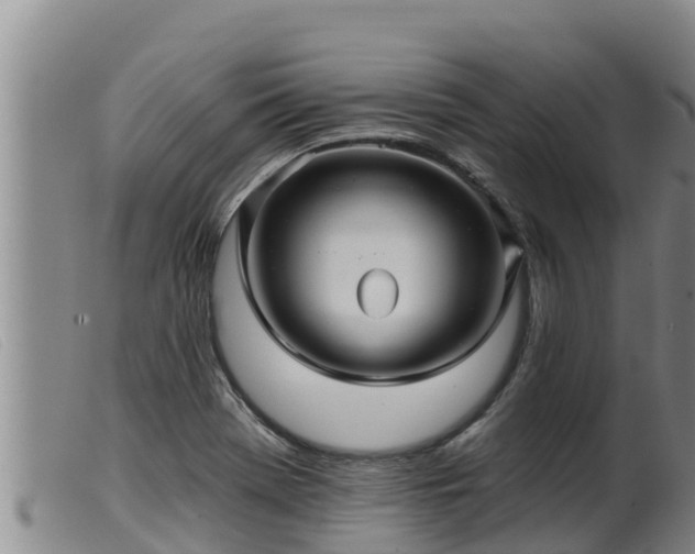 X0000099541369200805231116