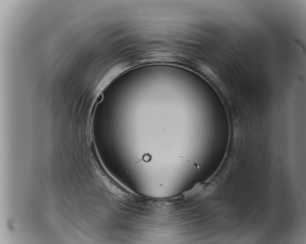 X0000099541370200805231116